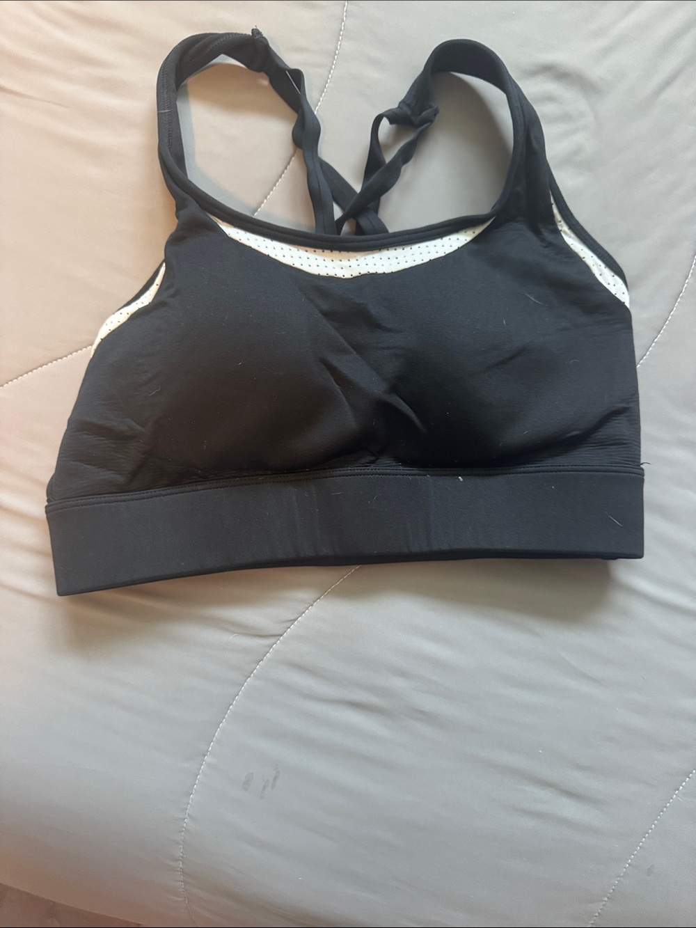 ZYIA Black Sports Bra with White Mesh Trim